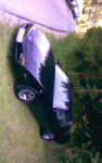 Bild011.gif