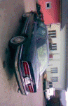 Bild027.gif