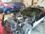 2011-03-27 13.04.10.jpg