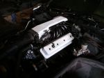 2011-04-02 16.19.05.jpg
