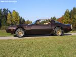 1981_Pontiac_Trans_Am_2nd_Gen_22.jpg