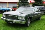 chevrolet_caprice_1975_gruen_l.jpg