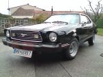 Mustang 2.jpg