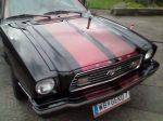 Mustang 3.jpg